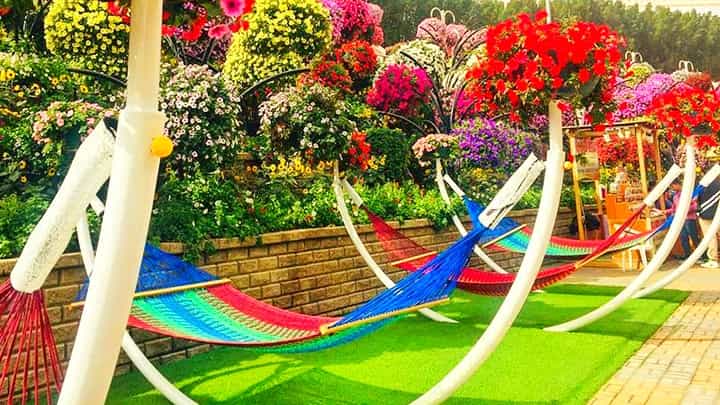 Hammocks are installed at multiple locations throughout the Dubai Miracle Garden.