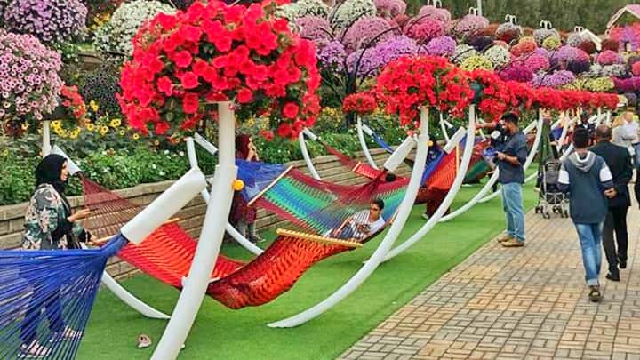 Hammocks are very popular among the visitors of the Dubai Miracle Garden.