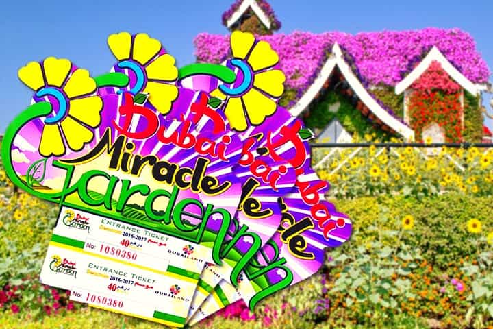 The ticket price of the Dubai Miracle Garden in its Season 6 was just 40 AED