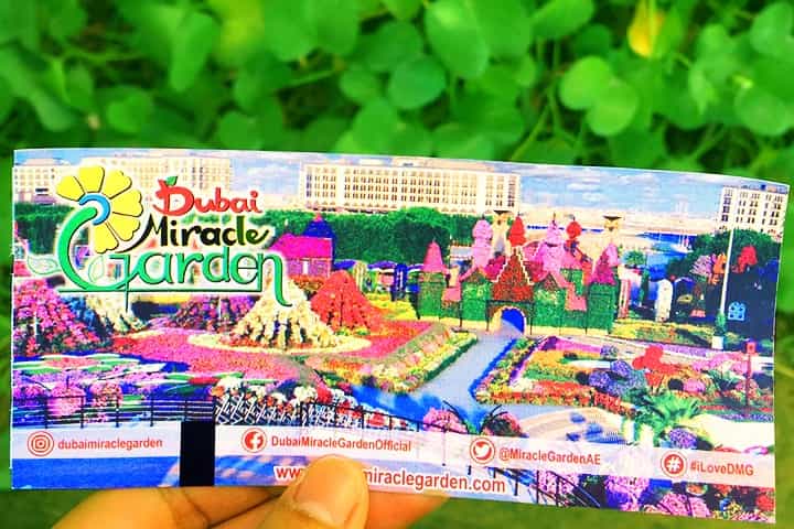 Ticket price of the Dubai Miracle Garden in its Season 7 was just 50 AED.