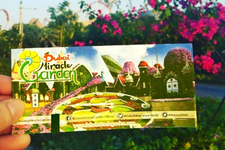 55 AED ticket price in Season 8 of the Dubai Miracle Garden