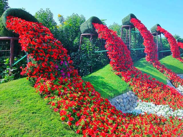 Dubai Miracle Garden has 100 million flowers