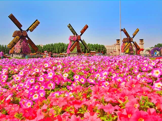 Dubai Miracle Garden best season to visit