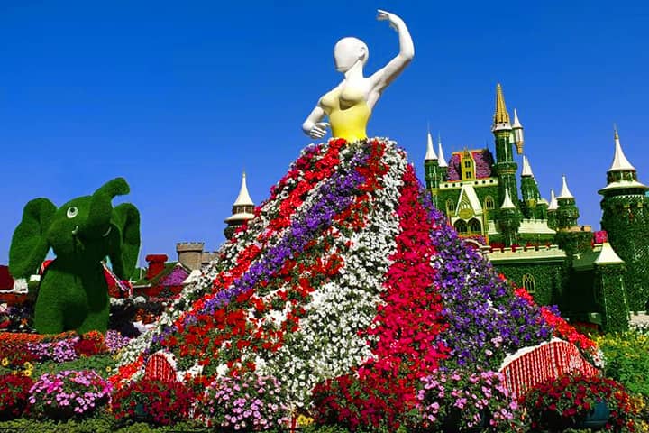 Dubai Miracle Garden is the biggest flower garden in the world.