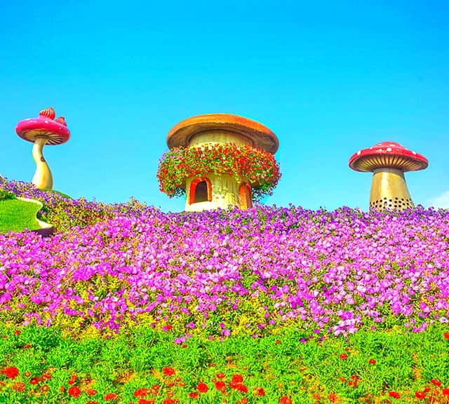 Dubai Miracle Garden continuous improvement