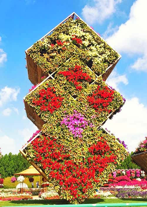 Dubai Miracle Garden goes through regular maintenance