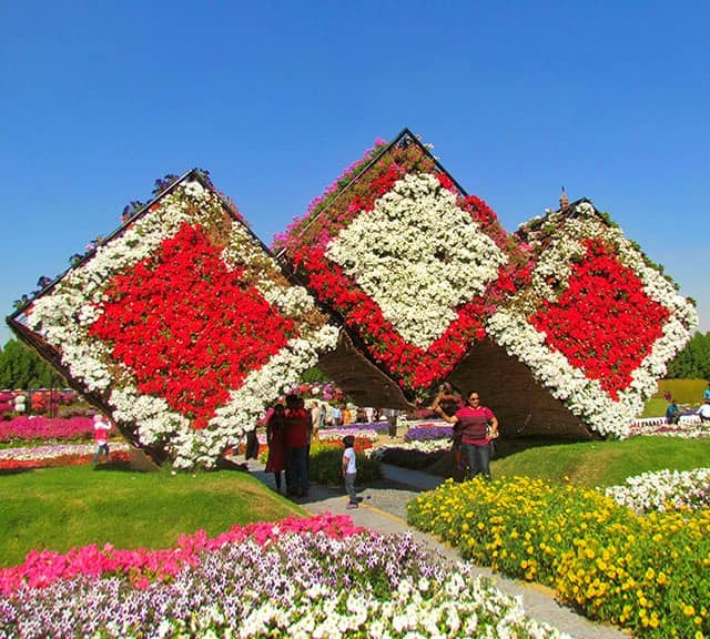 Dubai Miracle Garden ticket price