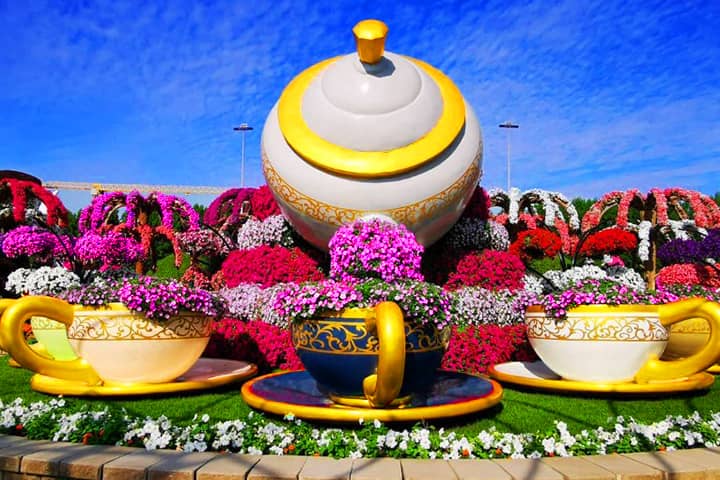 Season 8 of Dubai Miracle Garden.