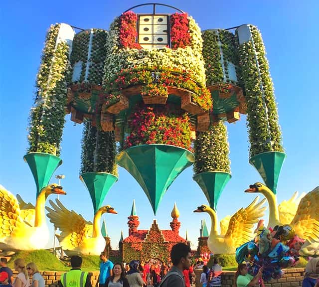 Height of the Inverted Castle is 30 feet high at the Dubai Miracle Garden.