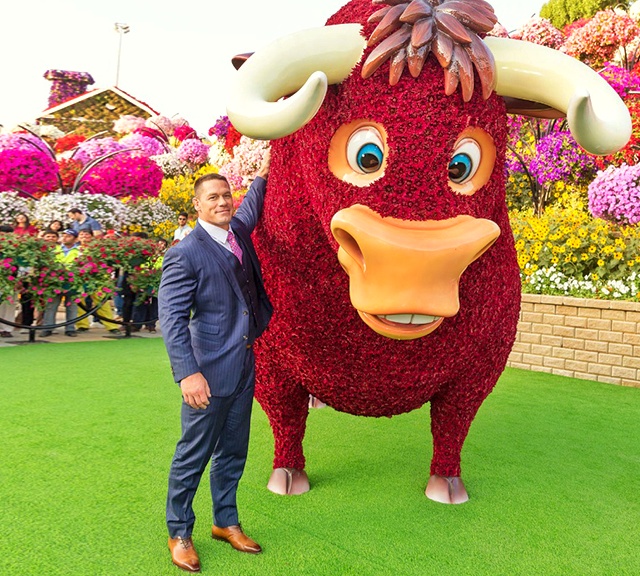 John Cena's photograph with Ferdinand the Bull