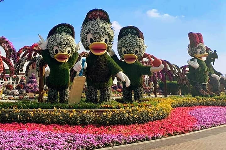 Dubai Miracle Garden gathers an area of 17 acres