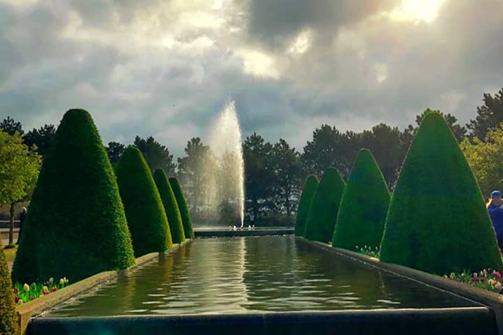 History of Keukenhof Garden dates back to 1949