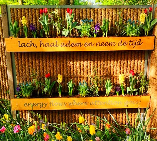 Keukenhof Garden remains open 3 months a year