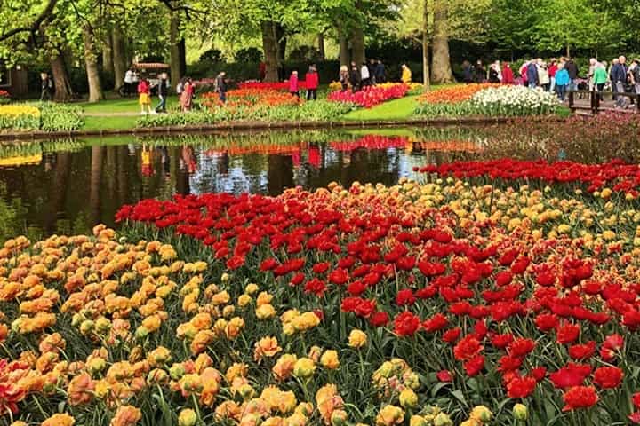 Keukenhof garden opens in Spring months only.