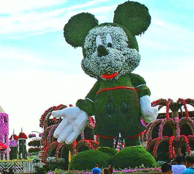 Mickey Mouse Topiary Art - Season 7 - Dubai Miracle Garden.