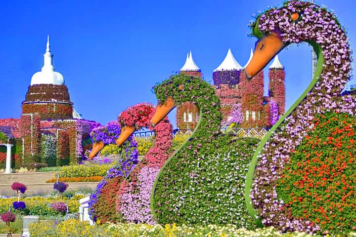 Opening Date Of Dubai Miracle Garden