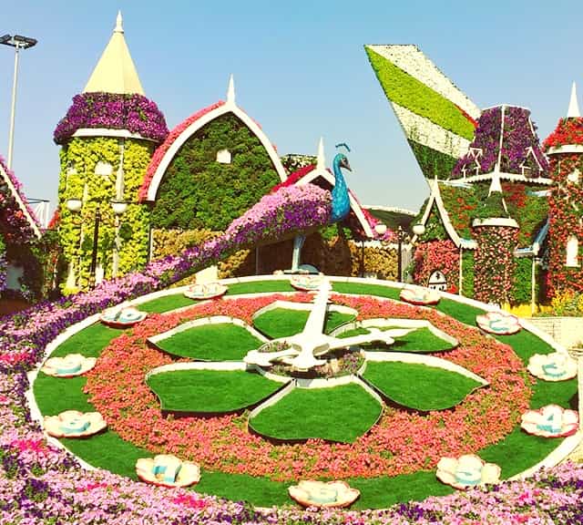 Date of inauguration of Dubai Miracle Garden was 14th February, 2013.