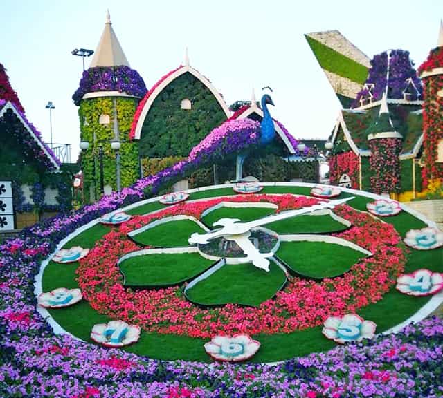 Opening dates are followed by the successful completion of renovation at the Dubai Miracle Garden.