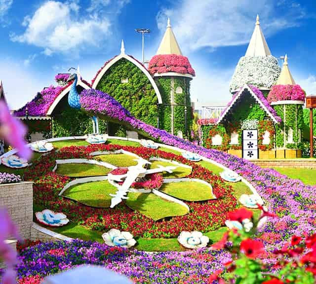 Opening dates of Dubai Miracle Garden have mostly occured during the month of November.