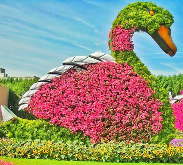 Opening date of Season 8 of Dubai Miracle Garden