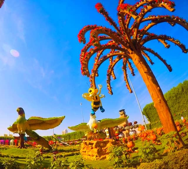 Palm Tree Photograph at the Dubai Miracle Garden