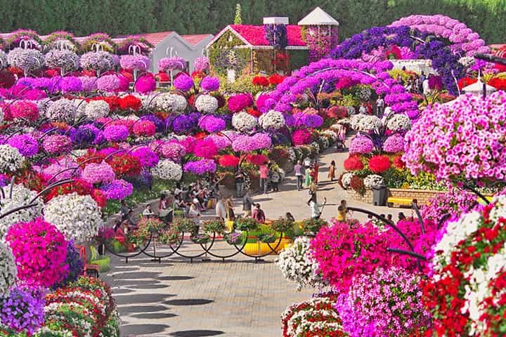 Alice in the Wonderland at Dubai Miracle Garden.