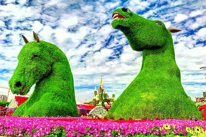 Pictures of Dubai Miracle Garden