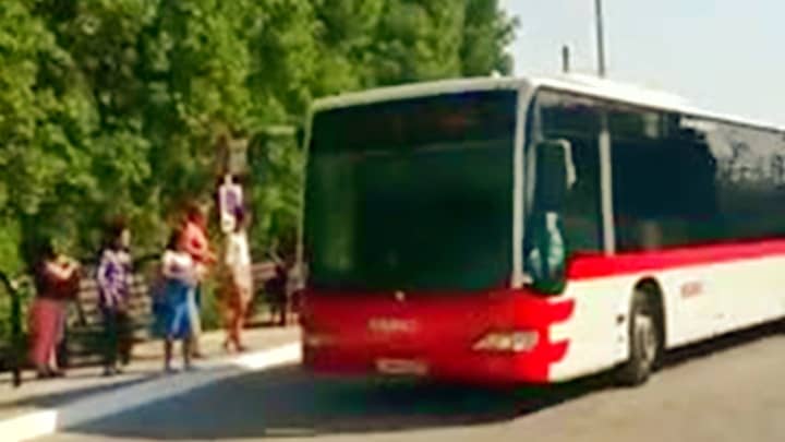 Public Transport Bus No. 105 arriving at the Dubai Miracle Garden.