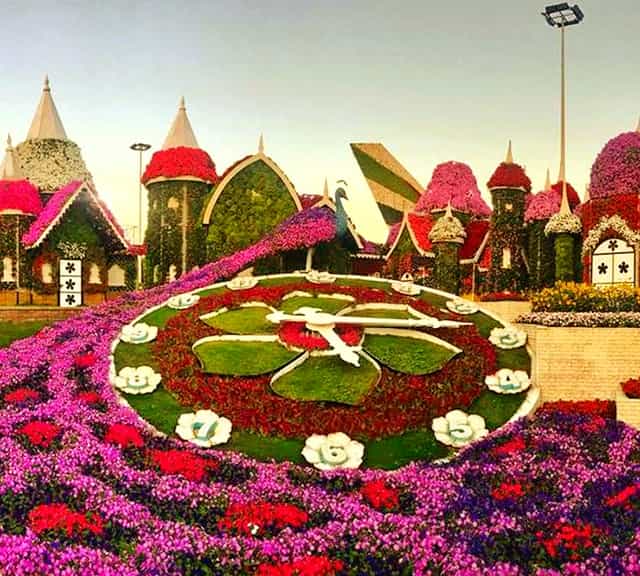 Ramadan 2020 will be at full swing at Dubai Miracle Garden in its upcoming Season 8.