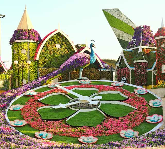 Ramadan timings were implemented in Season 7 of Dubai Miracle Garden.