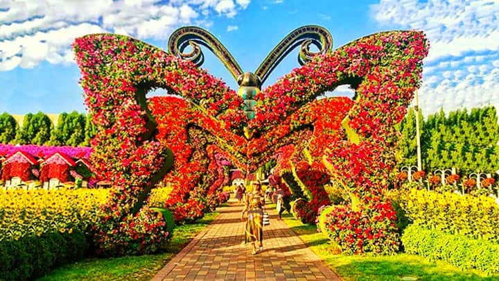 Butterfly Passage season 7 of the Dubai Miracle Garden