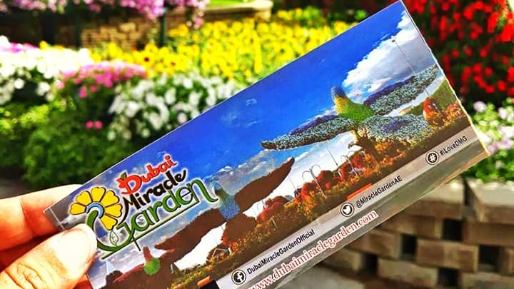 Ticket Price of the Dubai Miracle Garden is 50 Dirhams.