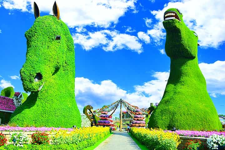 Stallions at Dubai Miracle Garden