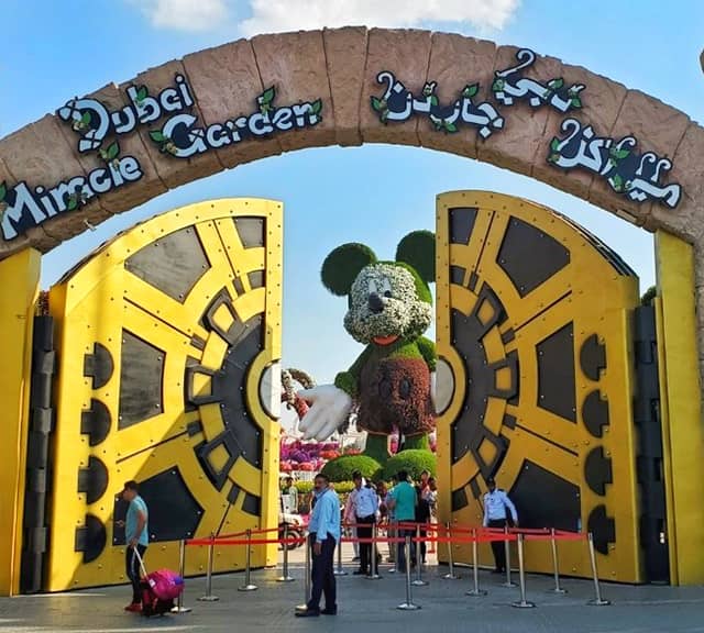 visit and purchase Dubai Miracle Garden on weekdays to avoid long rush and queues.