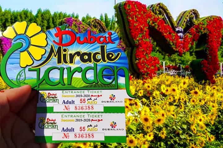 Ticket price of Dubai Miracle Garden is 55 AED and it is very affordable.