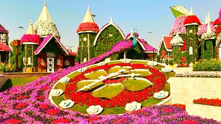 Lucky timings to visit Dubai Miracle Garden