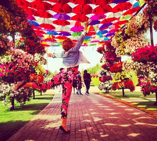 Umbrella Passage photograph at the Dubai Miracle Garden.