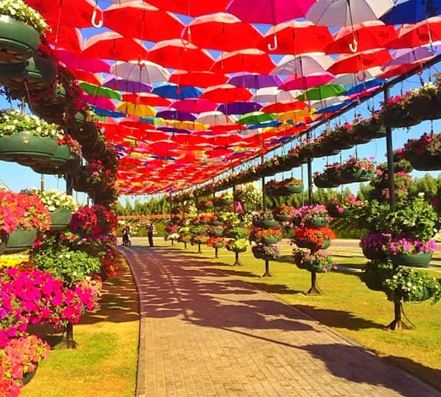 Umbrella Passage structure at the Dubai Miracle Garden.