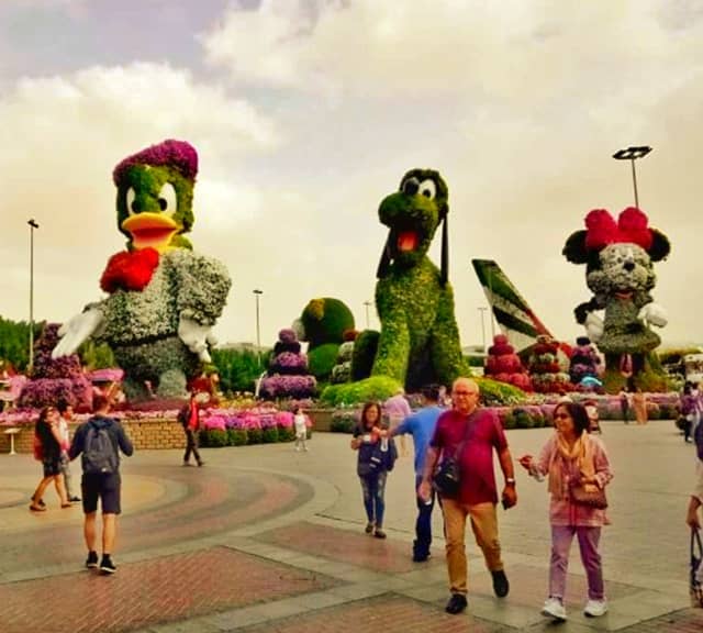 1 million visitors visit Dubai Miracle Garden in its every season.