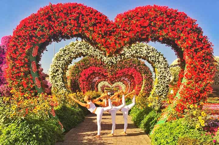 Yoga session timings at Dubai Miracle Garden